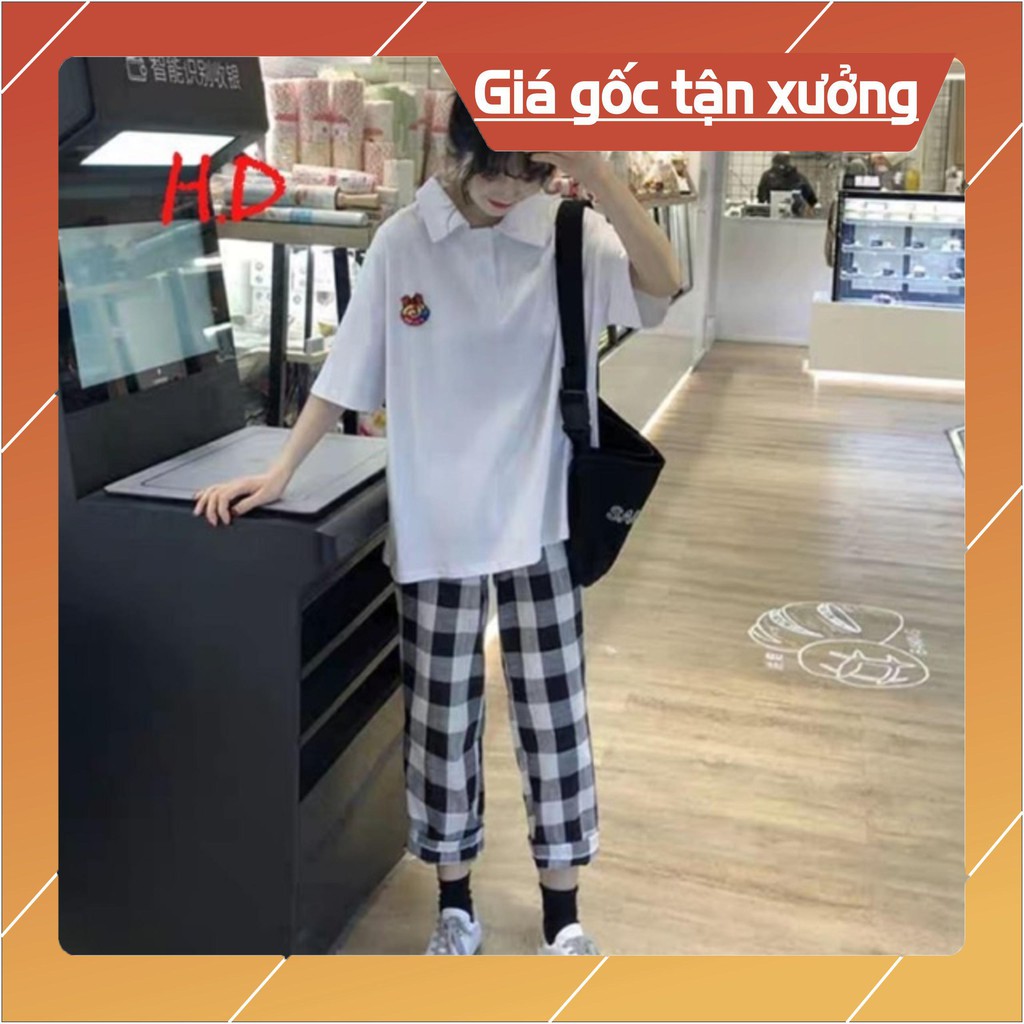 Áo polo ốc xoắn + quần kẻ ô vuông HĐ12