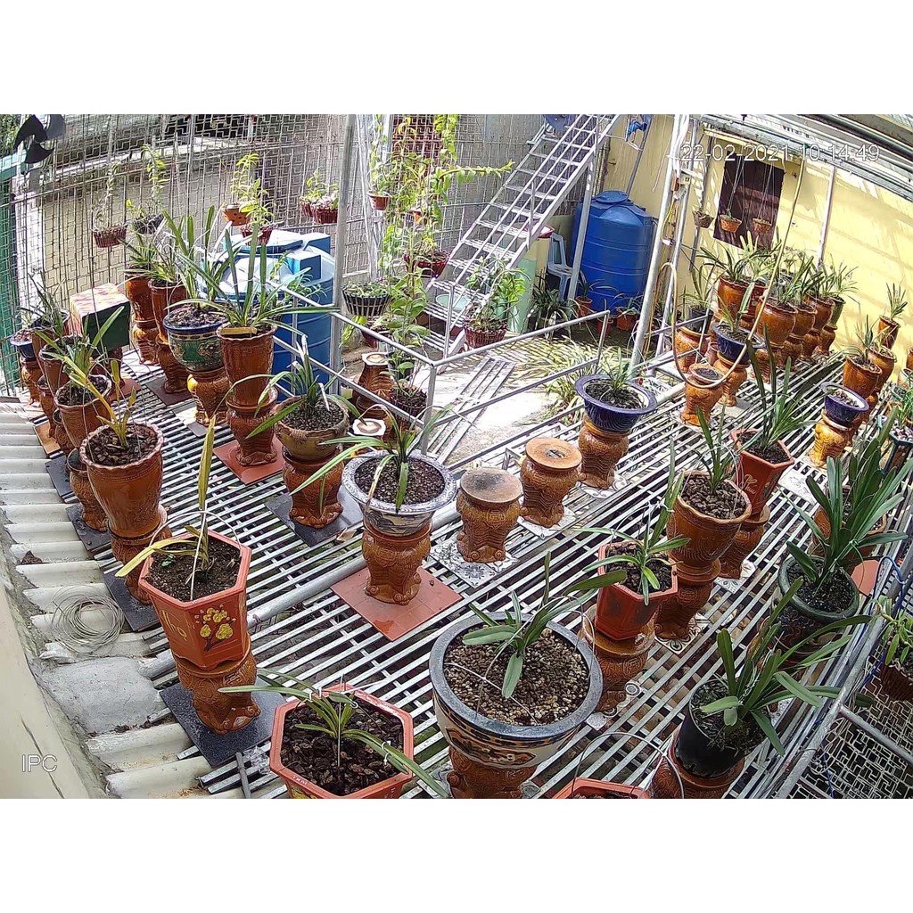 Camera wifi YooSee PTZ mini ngoài trời xoay 360 - Full HD | BigBuy360 - bigbuy360.vn