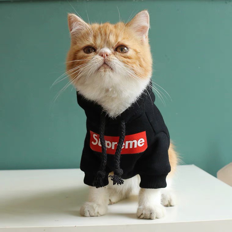 Áo Hoodie Sup.  reme nỉ bông sành điệu cho thú cưng, áo cho chó mèo