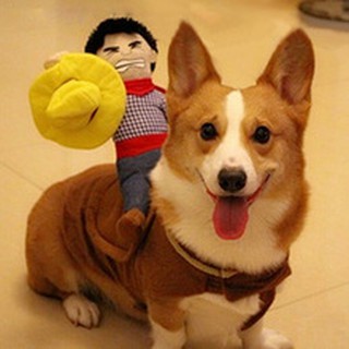 Bộ đồ hóa trang cowboy cho chó