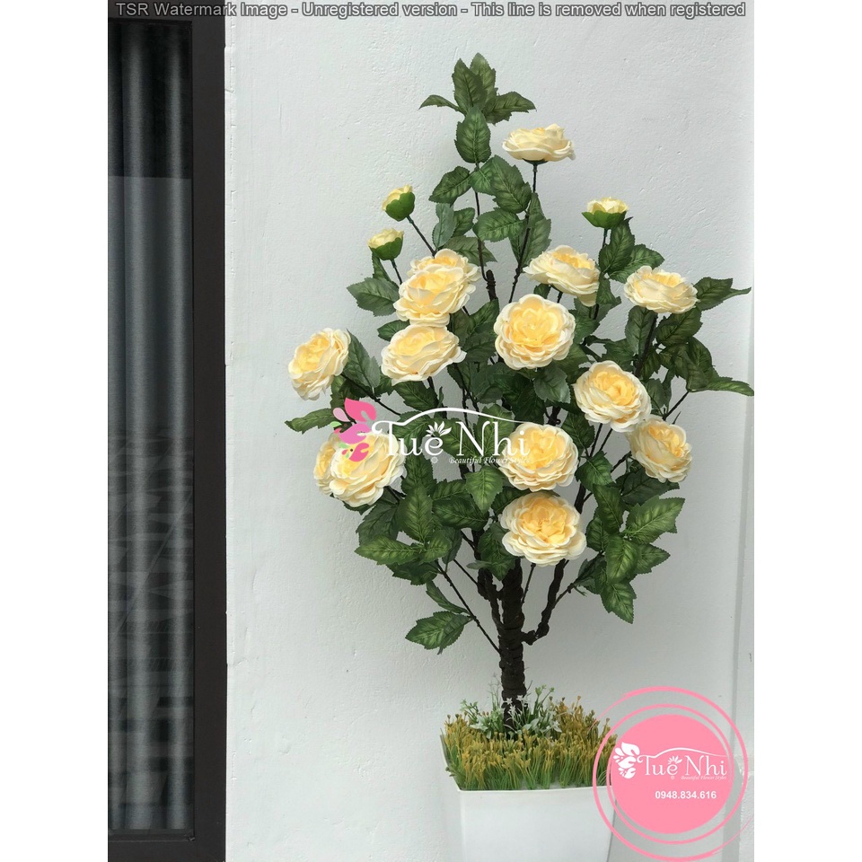 Cây Hoa Hồng Trà PANDORA Cao 115cm , Thân Cổ Cao Cấp - Cây Hoa Giá Trang Trí.