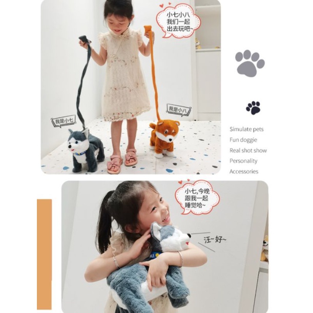 Chó bông Shiba và Husky Ngáo biết hát 120 bài, biết đi, vẫy đuôi, có dây dắt mẫu mới 2022, bự, đẹp