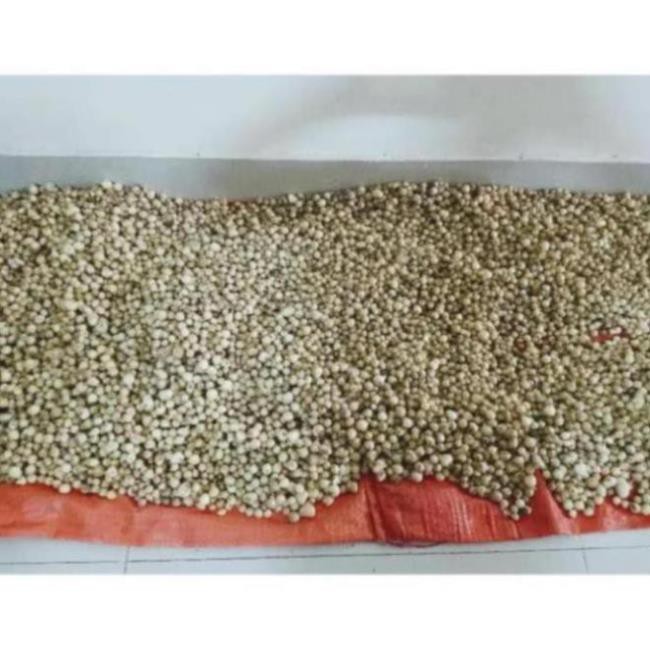 Củ nén 🧅Hành tăm GÓI 1KG Loại 1 đặc sản Nghệ An siêu sạch, thơm ngon | BigBuy360 - bigbuy360.vn