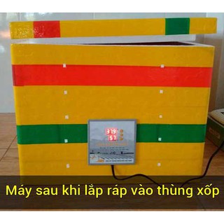 Máy Ấp Trứng Ánh Dương P100