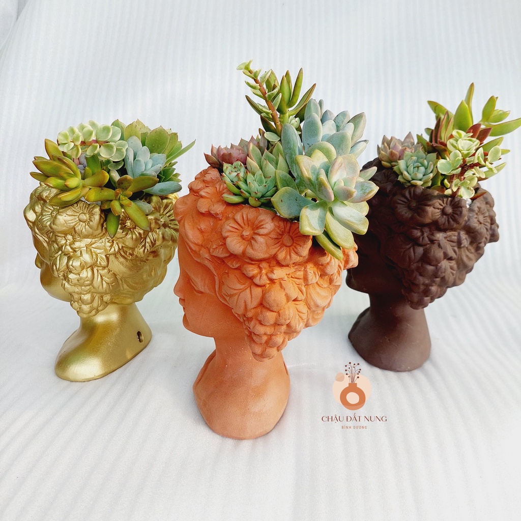 Chậu đất nung, Chậu sen đá - Quý bà Rosa, đường kính miệng 11cm, chiều cao 19cm