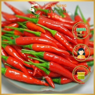 Hạt Giống Ớt Chỉ Thiên F1 TN 378