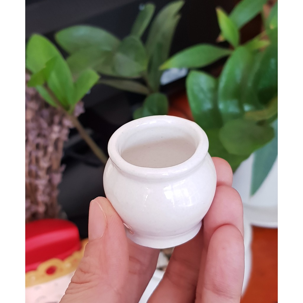 Chum vàng may mắn