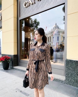 Đầm suông sơmi beo thắt eo