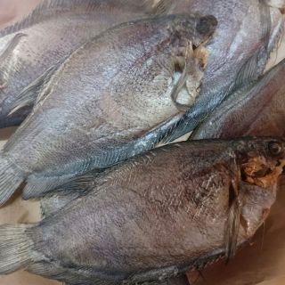 Khô cá sặc phệt 7- 8 con 1kg rừng u minh thơm ngon vừa ăn không mặn thơm ngon ngất ngây
