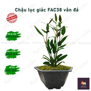 Chậu trồng cây hình lục giác giả đá đen mã CN08FAC38 kt 37,5x21,5cm