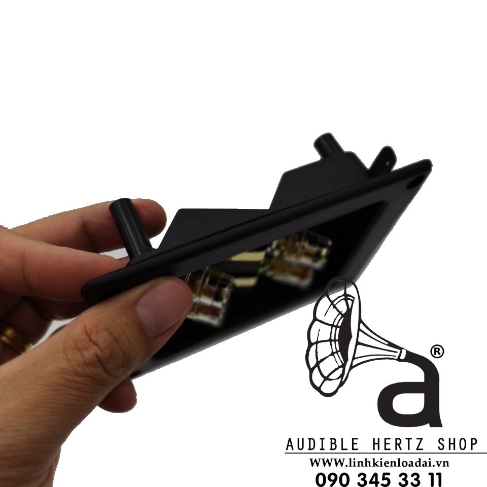 Trạm loa bi-wire, máng loa, hậu loa ráp thùng