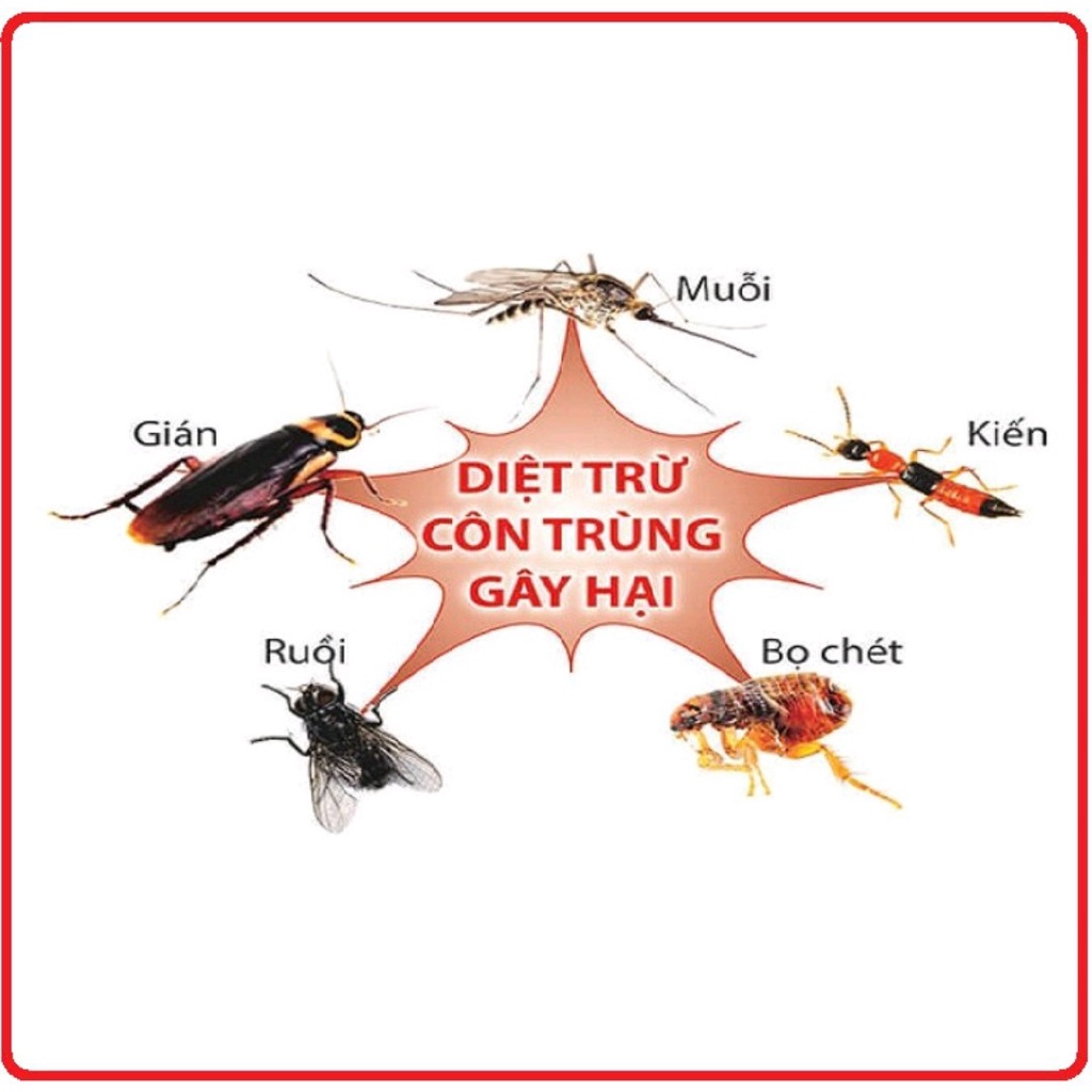 Combo 2 Bình xịt côn trùng King STar chai 600ml