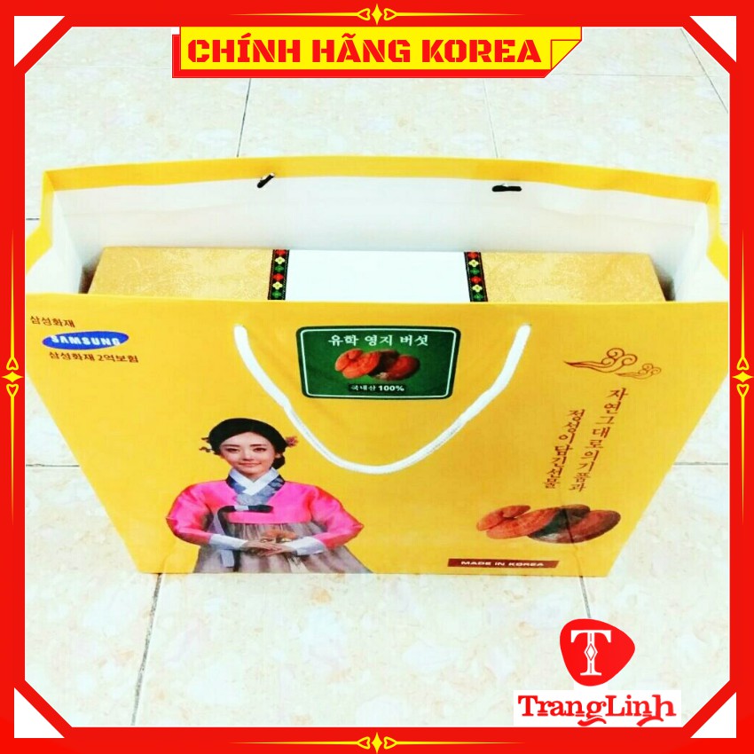 Nấm linh chi hàn quốc thượng hạng - Nấm hộp kim tuyến 1kg giúp thải độc gan, thanh lọc cơ thể - tranglinhkorea