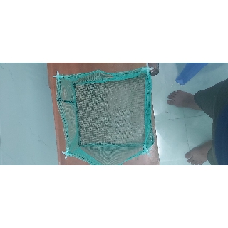 Combo 10 lồng đẻ guppy