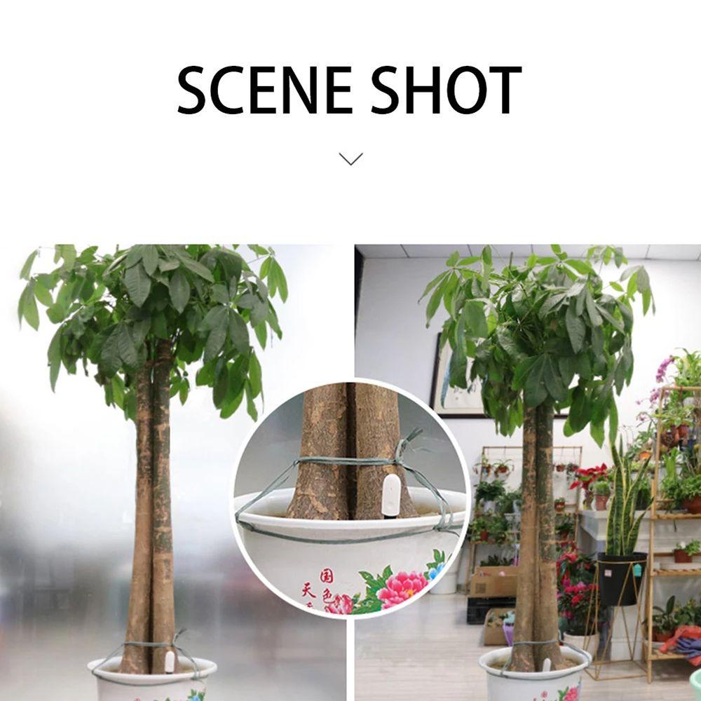 WATTLE Thiết Bị Cảm Biến Độ Ẩm Đất Trồng Cây Thông Minh