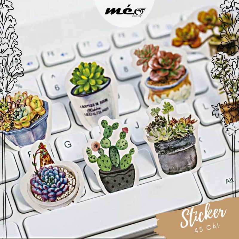 STICKER chậu sen đá hộp 45 miếng dán trang trí sổ tay, điện thoại, laptop - S06