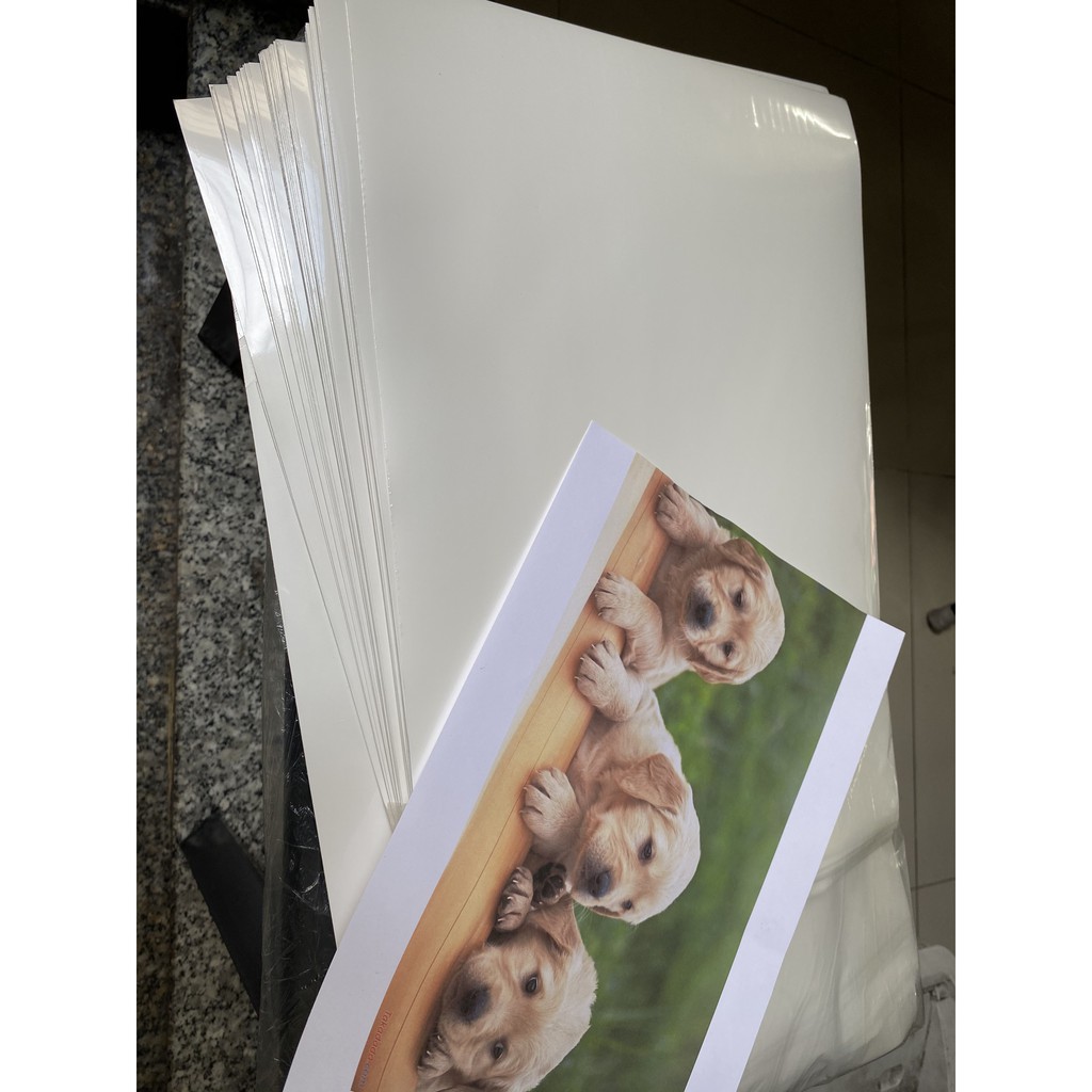 CHẤT ĐỊNH HÌNH MÀN FILM TRẮNG TỰ IN (Activator A) | BigBuy360 - bigbuy360.vn