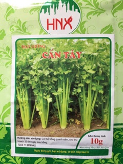 Hạt giống Cần Tây 10gr