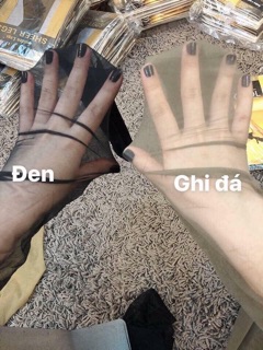 Quần Tất Đá Thái Lan