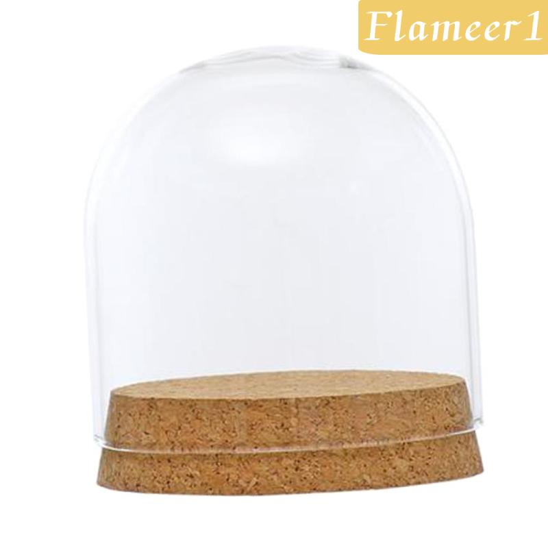 [Flameameer1] Bình Hoa Thủy Tinh Nắp Phong Cảnh Terrarium