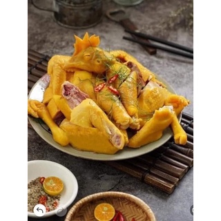 Gà Ri Nguyên con Ủ muối