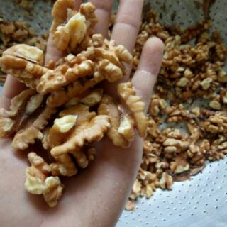 Hạt óc chó hartley