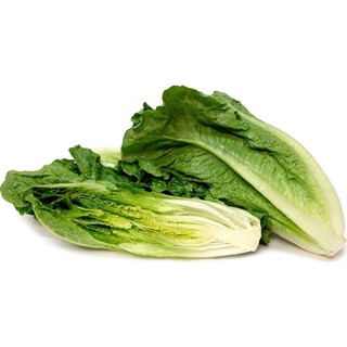 Xà Lách Romaine Rạng Đông