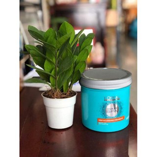 Kem ủ tóc Loreal Hair Spa 1000ml