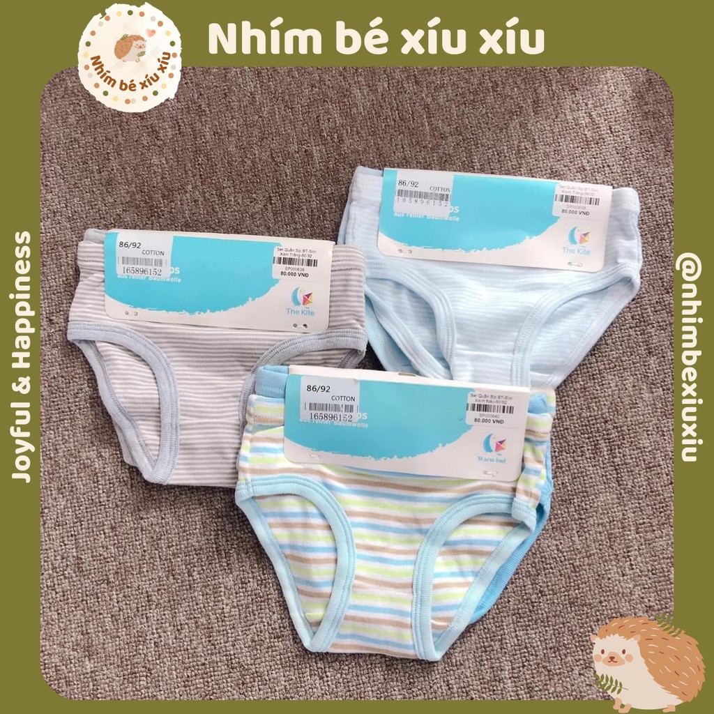 Combo 3 quần sịp/quần chip kẻ ngang chất cotton bé trai (7.5-20 kg) nhimbexiuxiu