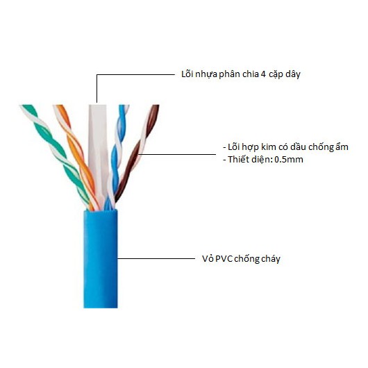 DÂY MẠNG CAT6E Bấm Sẵn 2 đầu 10m 15m 20m 25m 30m 35m 40m 45m 50m - Pk Máy Tính