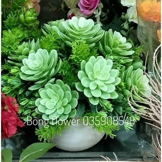 Cụm hoa sen đá giả siêu đẹp giống thật 99%