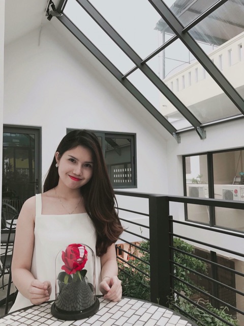 Hoa hồng bất tử - valentine 2018
