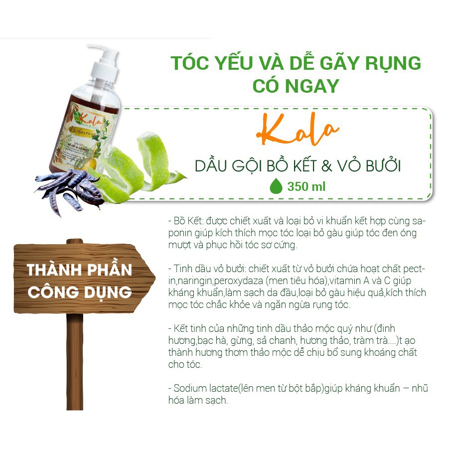 DẦU GỘI THẢO MỘC KALA (CHIẾT XUẤT BỒ KẾT VÀ VỎ BƯỞI) MỌC TÓC 350ml | DẦU GỘI BƯỞI |  DẦU GỘI BỒ KẾT famimark.com