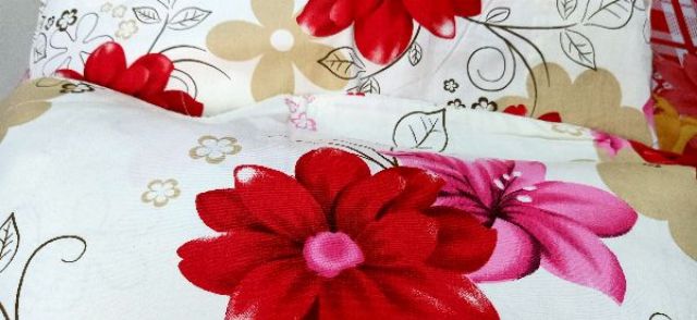 Áo Gối Thắng Lợi