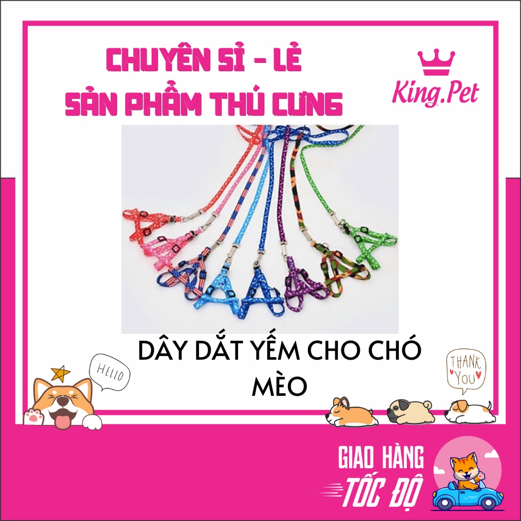 DÂY DẮT YẾM CHO CHÓ MÈO