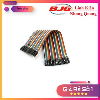Dây câu mạch 40P 20CM dây cắm mạch dây cắm test board