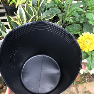 Bộ 10 Chậu trồng C12 bít lỗ trồng hoa Sen, Súng, cây Thủy sinh, Cá cảnh (Đường kính miệng 33cm, cao 27cm)