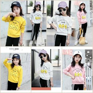 Combo 15b nhỡ bé gái