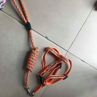 Dây xích chó mèo [dây dắt chó mèo]