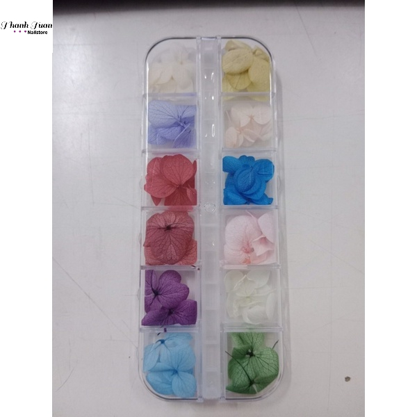Set hoa khô nail 12 màu, hoa khô trang trí móng - Phụ kiện đồ nail