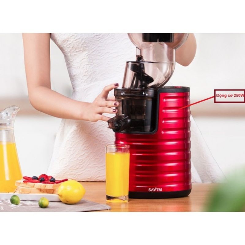 Máy ép chậm hoa quả công nghiệp SAVTM je31 bảo hành 12 tháng