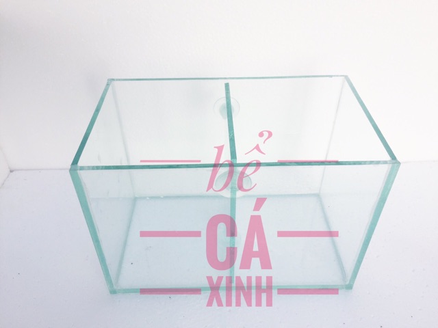 Bể cá mini ngăn đôi 25x14x16cm( vách ngăn có thể tháo lắp)