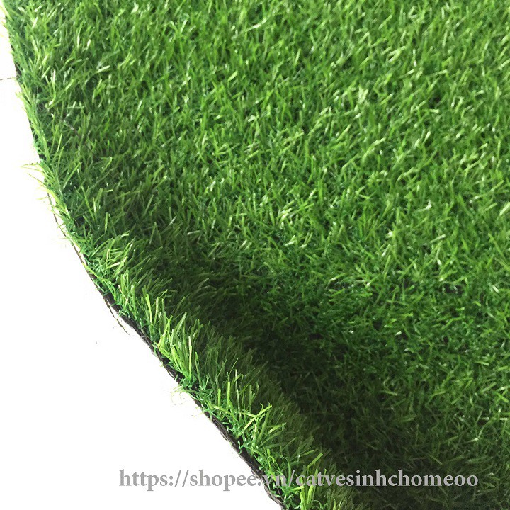 Thảm cỏ nhân tạo - tấm cỏ nhựa trải sàn - cỏ giả cao 2cm