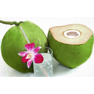 THÙNG NƯỚC DỪA ORGANIC VICO FRESH