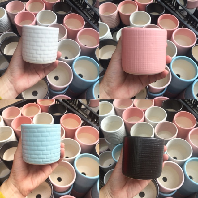 Chậu trồng cây 8cm