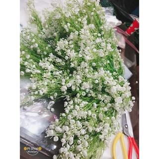 Hoa điểm cành giá rẻ