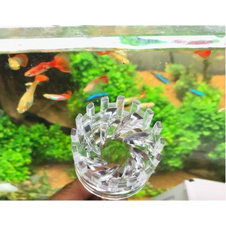 ĐẦU LỌC VÁNG XOAY NHỰA ACRYLIC