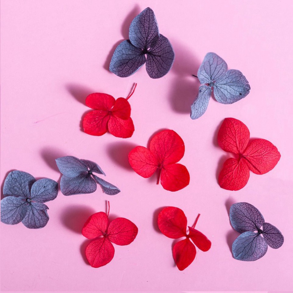 Hoa khô trang trí móng tay - Set 7 màu hoa khô nail, cánh hoa to và mỏng đắp ẩn theo phong cách Hàn Nhật N8