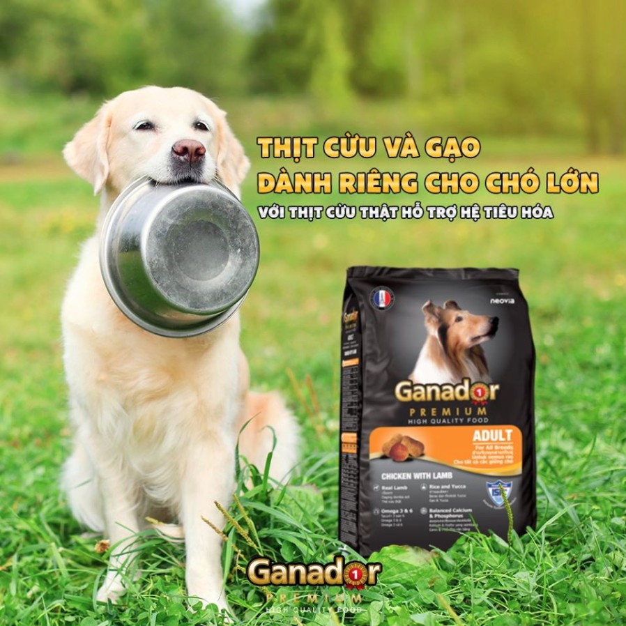 Thức ăn cho chó trưởng thành Ganador Premium vị thịt cừu & gạo Lamb & Rice 400gram | Garnado Ganardo