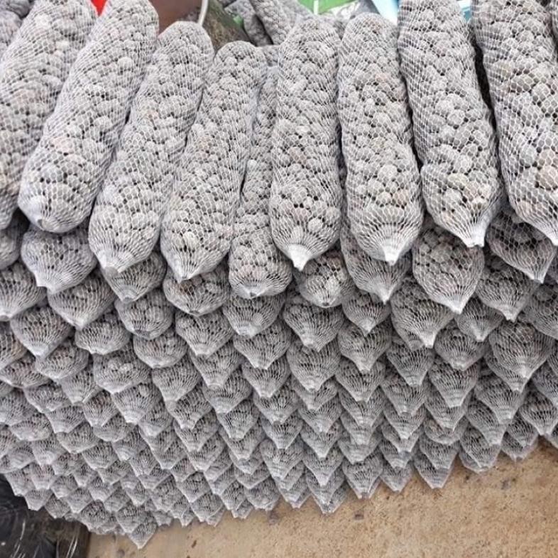 Phân dê túi lưới bón cho lan 20cm và cây cảnh HT Green